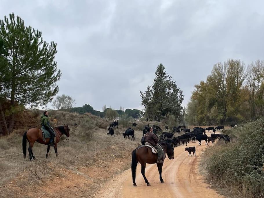Casa Rural Berta El Picazo Eksteriør bilde