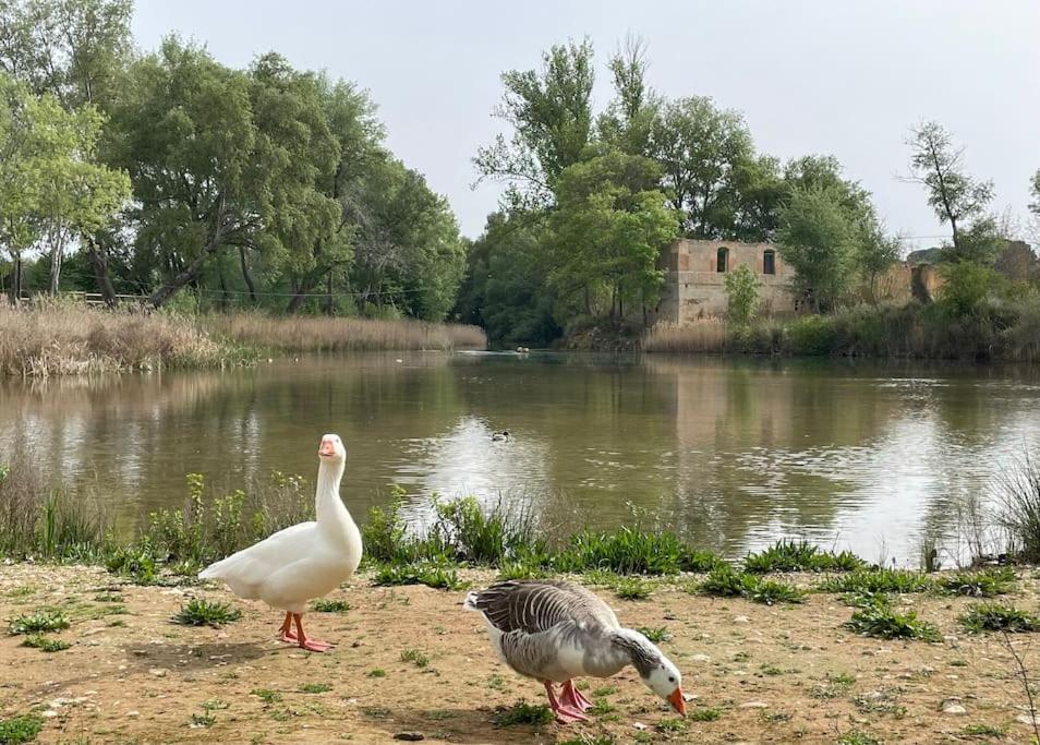 Casa Rural Berta El Picazo Eksteriør bilde